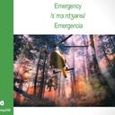 Master Class Gratuita "English for Emergencies"