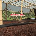 Catación de café gratis