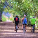 Escapada en bici de 2 días y 1 noche. Valencia - Cullera - Gandía