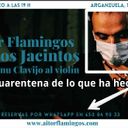 Aitor Flamingos en Los Jacintos