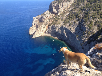 Perro plan Actividad con Perro, Canidae, Promontorio, Acantilado, Klippe, Terreno, Formaciones costeras y oceánicas, Grupo deportivo, Senderismo para perros, Cabo