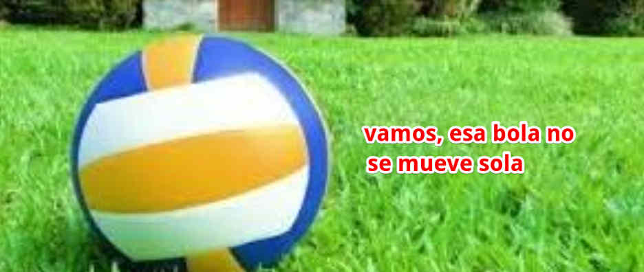 Actividad con Recreación, Balón de fútbol, Hierba, Césped, Pelota, Fútbol, Jugar, Juegos, Planta, Ocio
