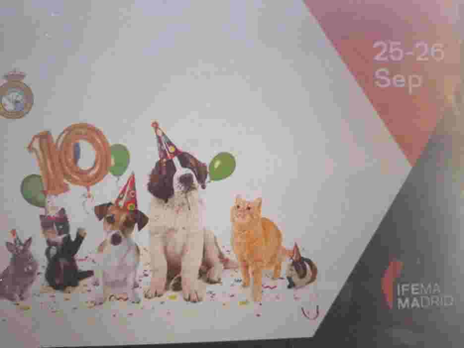 Actividad con Organismo, Carnívoro, Arte, Cervatillo, Felidae, Gatos pequeños a medianos, Personaje de ficción, Pintura, Fuente, Evento
