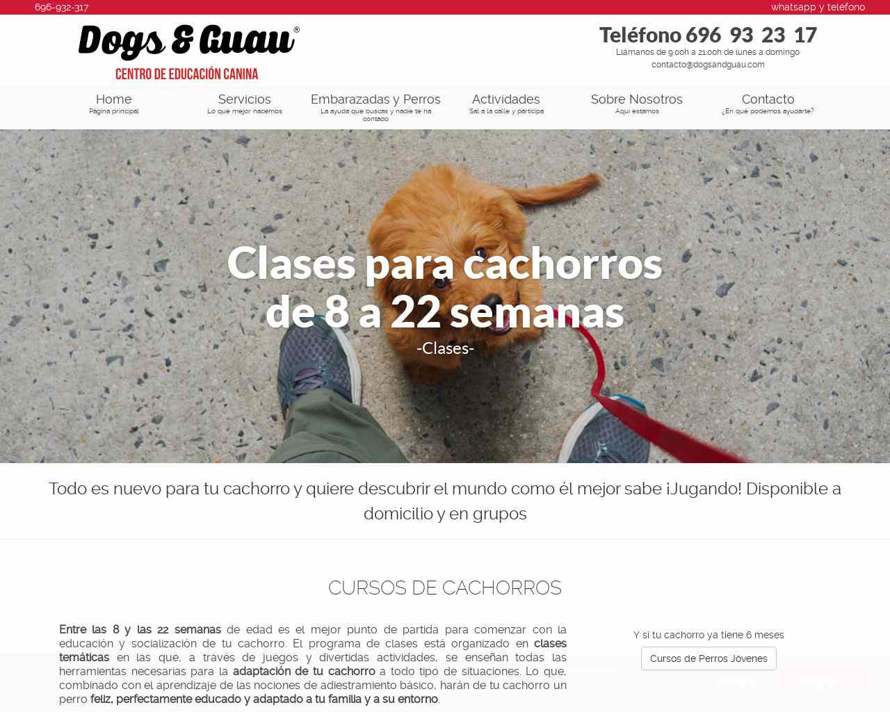 Curso de Cachorros - Centro de educación canina Dogs&Guau