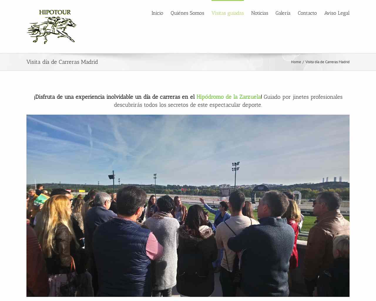 \n\tVisita día de Carreras Madrid - Hipotour\t