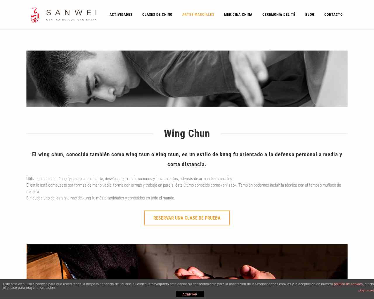 Clases de Wing Chun en Madrid - SAN WEI Escuela de artes marciales