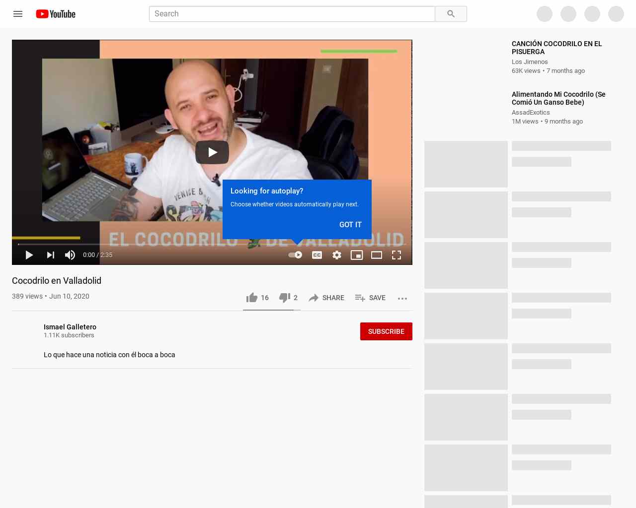 Cocodrilo en Valladolid - YouTube
